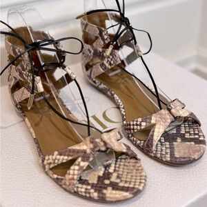 Exceptional Condition Real Python Gladiator Style Sandals by Aquazzura